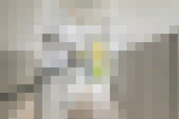 Plesmanlaan 4 II Haarlem thumbnail 9