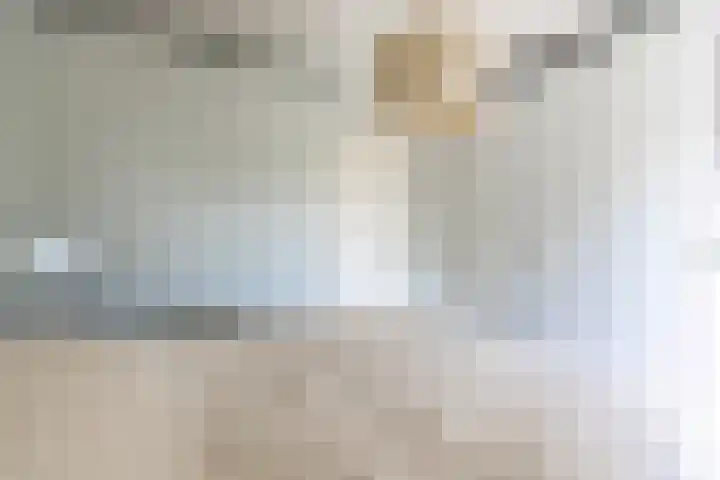 Plesmanlaan 50 2 Utrecht thumbnail 10