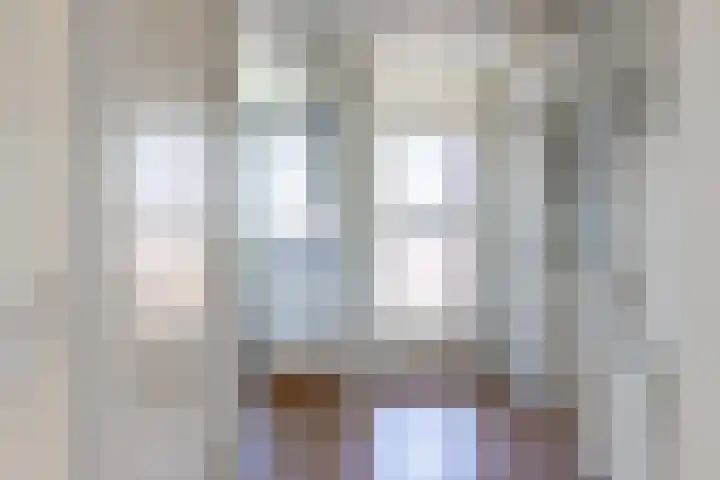 Plesmanlaan 50 2 Utrecht thumbnail 11