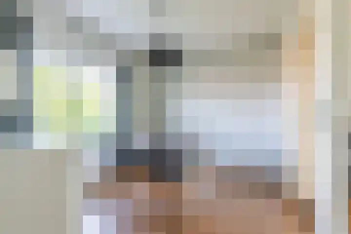 Plesmanlaan 50 2 Utrecht thumbnail 14