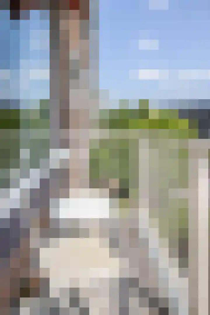 Plesmanlaan 50 2 Utrecht thumbnail 20