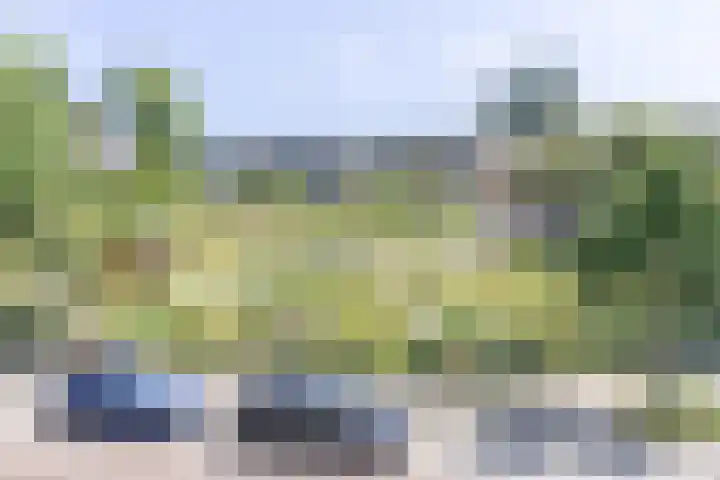 Plesmanlaan 50 2 Utrecht thumbnail 22