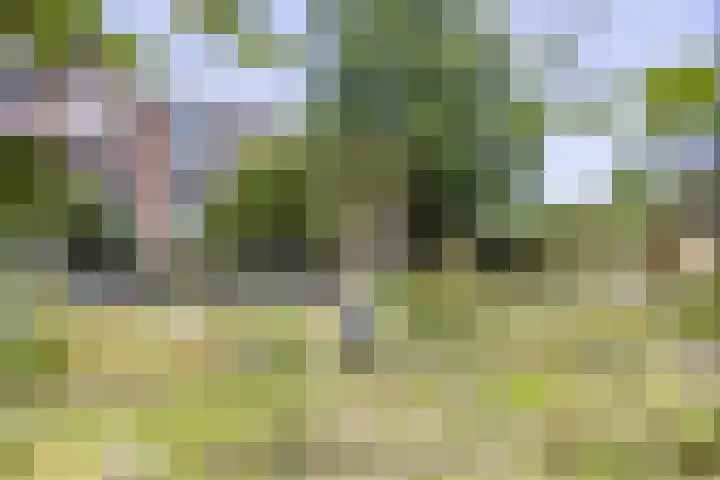 Plesmanlaan 50 2 Utrecht thumbnail 23