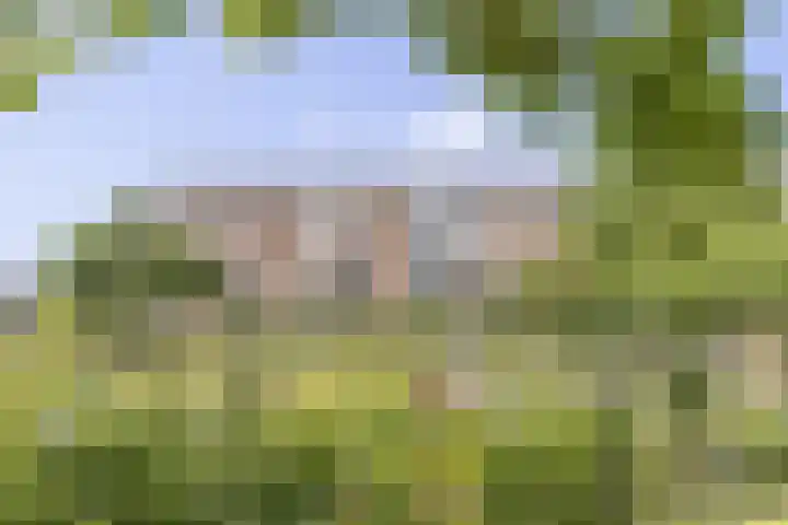 Plesmanlaan 50 2 Utrecht thumbnail 24