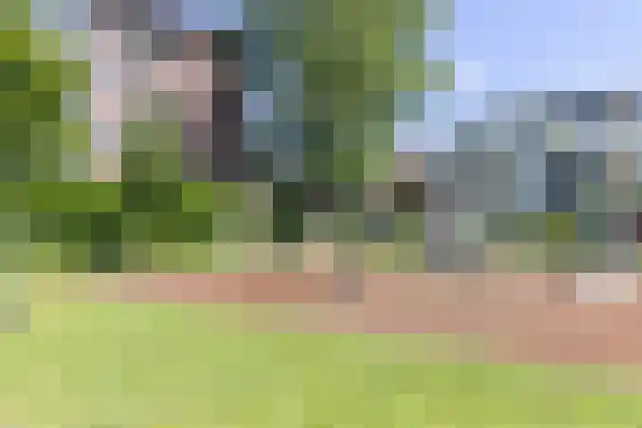 Plesmanlaan 50 2 Utrecht thumbnail 25