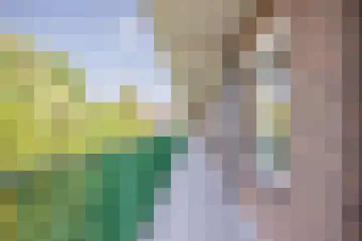 Plesmanlaan 50 2 Utrecht thumbnail 4