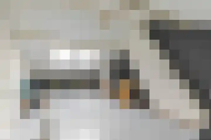 Plesmanlaan 60 2 Utrecht thumbnail 19