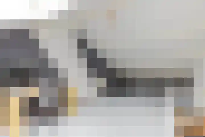 Plesmanlaan 60 2 Utrecht thumbnail 20