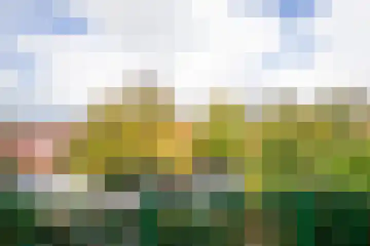 Plesmanlaan 60 2 Utrecht thumbnail 22