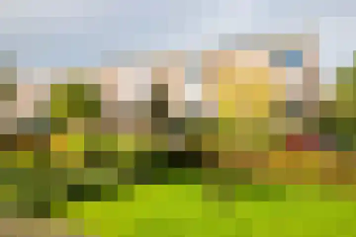 Plesmanlaan 60 2 Utrecht thumbnail 23