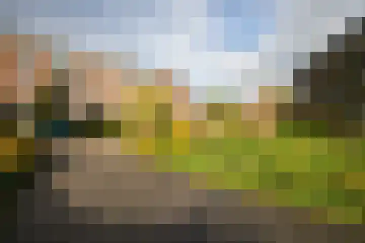 Plesmanlaan 60 2 Utrecht thumbnail 24