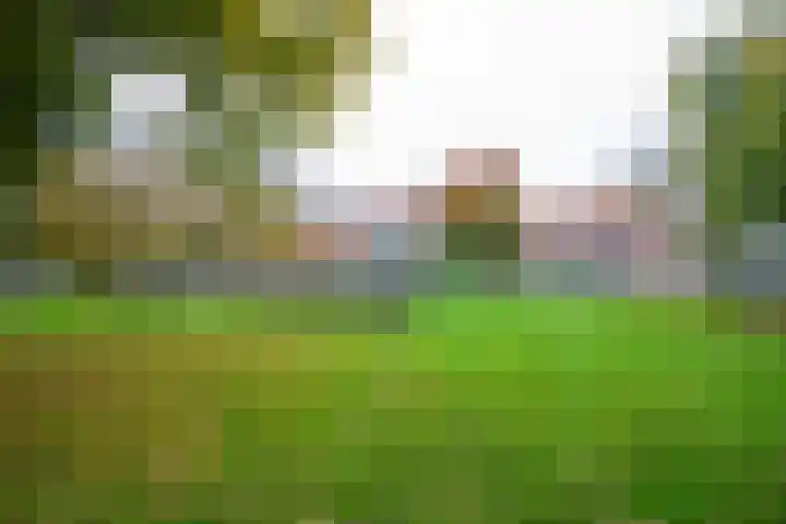 Plesmanlaan 60 2 Utrecht thumbnail 25