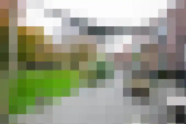 Plesmanlaan 60 2 Utrecht thumbnail 26