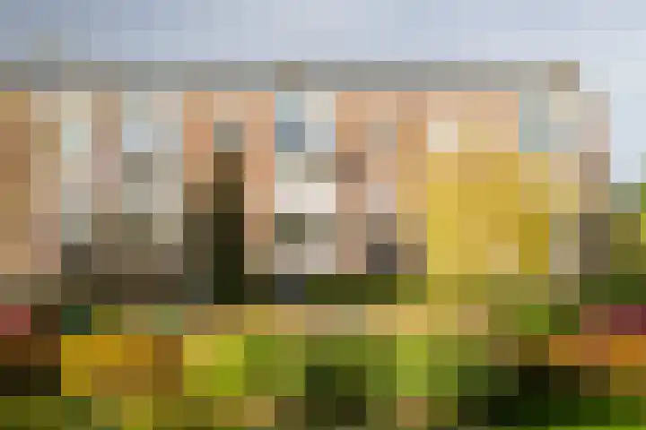 Plesmanlaan 60 2 Utrecht thumbnail 28