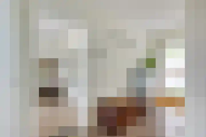 Plesmanlaan 66 1 Utrecht thumbnail 11