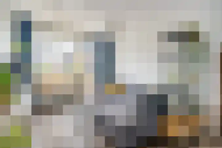 Plesmanlaan 66 1 Utrecht thumbnail 13