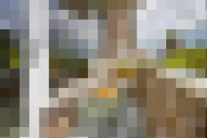 Plesmanlaan 66 1 Utrecht thumbnail 17