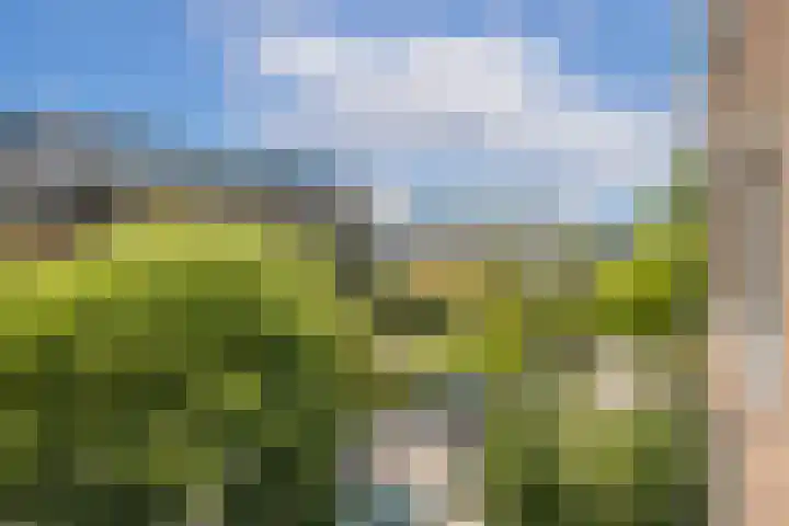 Plesmanlaan 66 1 Utrecht thumbnail 18
