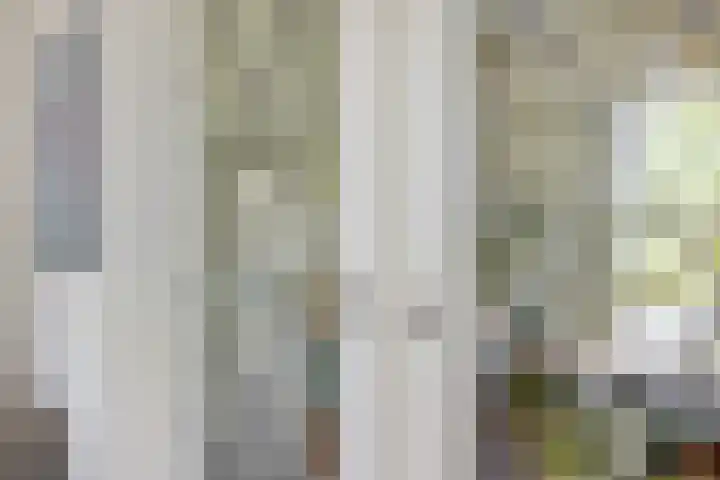 Plesmanlaan 66 1 Utrecht thumbnail 21