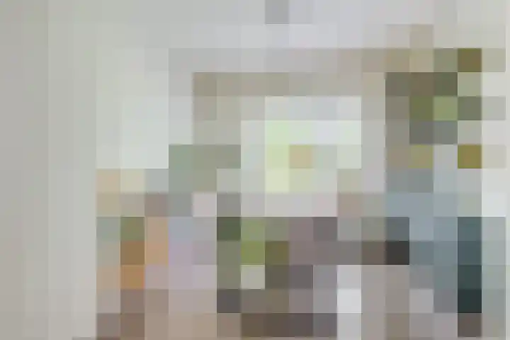 Plesmanlaan 66 1 Utrecht thumbnail 24