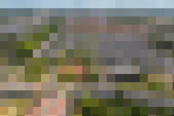 Plesmanlaan 66 1 Utrecht thumbnail 34