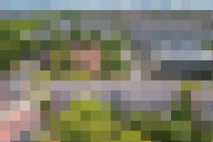 Plesmanlaan 66 1 Utrecht thumbnail 35