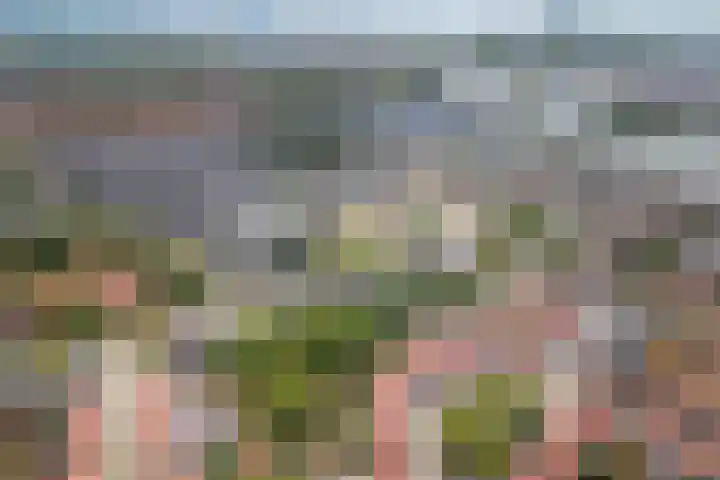 Plesmanlaan 66 1 Utrecht thumbnail 36