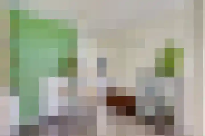 Plesmanlaan 66 1 Utrecht thumbnail 9