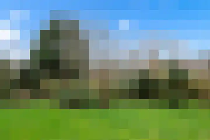 Plesmanlaan 8 I Haarlem thumbnail 11