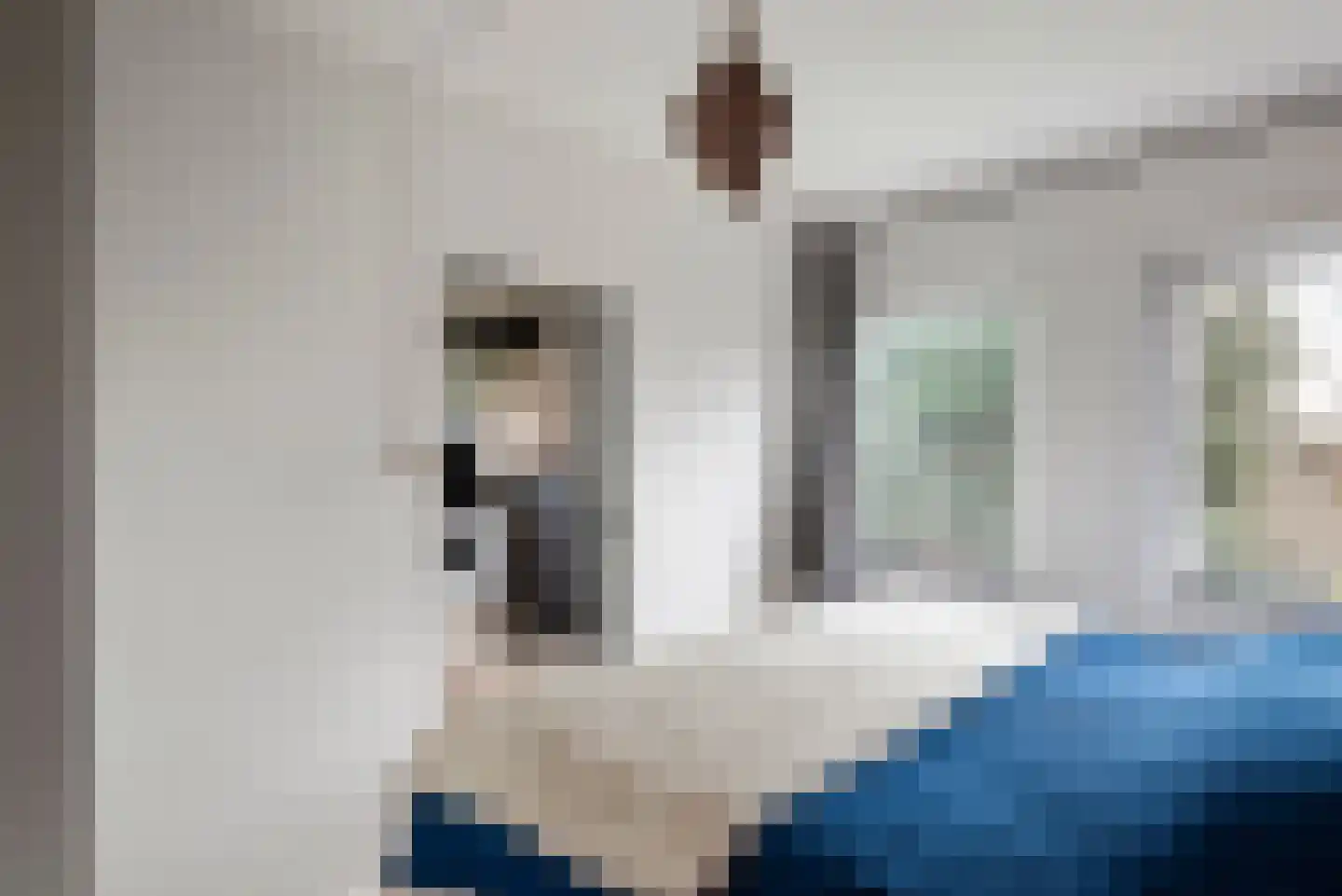Plesmanlaan 8 I Haarlem thumbnail 16