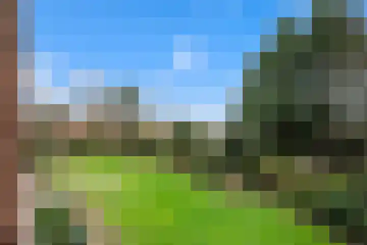Plesmanlaan 8 I Haarlem thumbnail 17