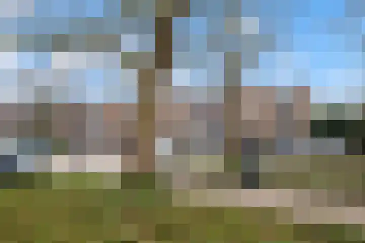 Plesmanlaan 8 I Haarlem thumbnail 28