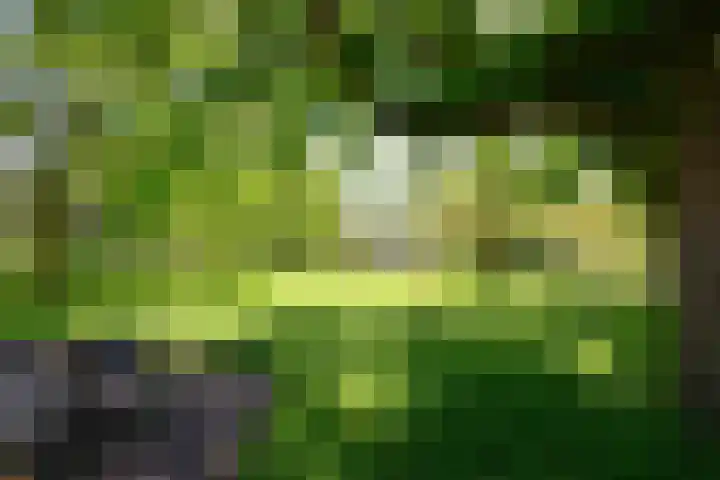 Plesmanlaan 8 I Haarlem thumbnail 31