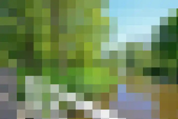 Plesmanlaan 8 I Haarlem thumbnail 32