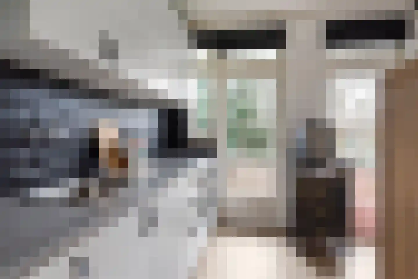 Plesmanlaan 8 I Haarlem thumbnail 8