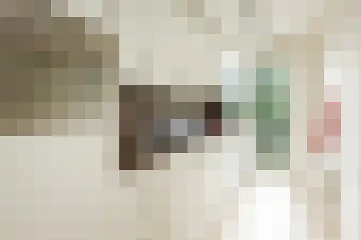 Plesmanlaan 8 II Haarlem thumbnail 12