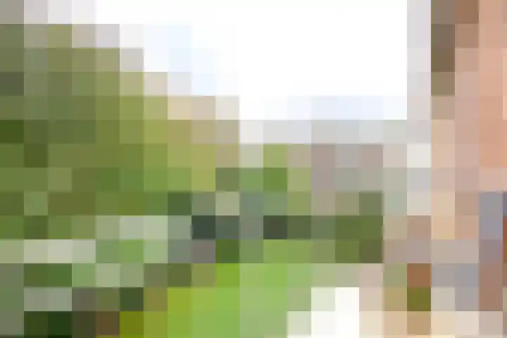 Plesmanlaan 8 II Haarlem thumbnail 14