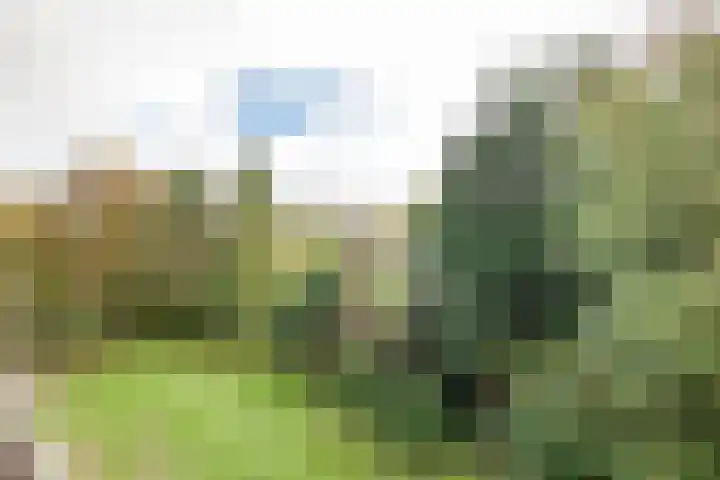 Plesmanlaan 8 II Haarlem thumbnail 15
