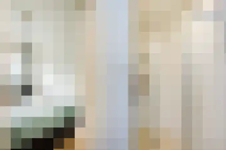 Plesmanlaan 8 II Haarlem thumbnail 20