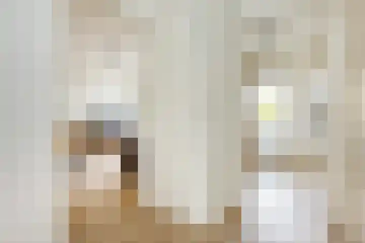 Plesmanlaan 8 II Haarlem thumbnail 23