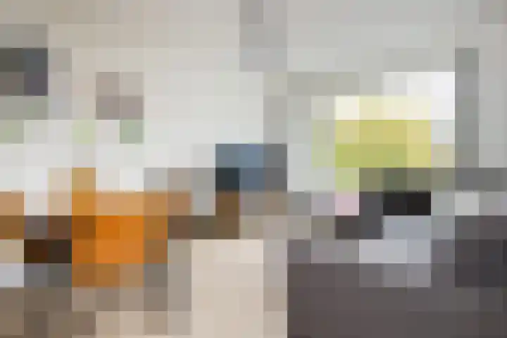 Plesmanlaan 8 II Haarlem thumbnail 4