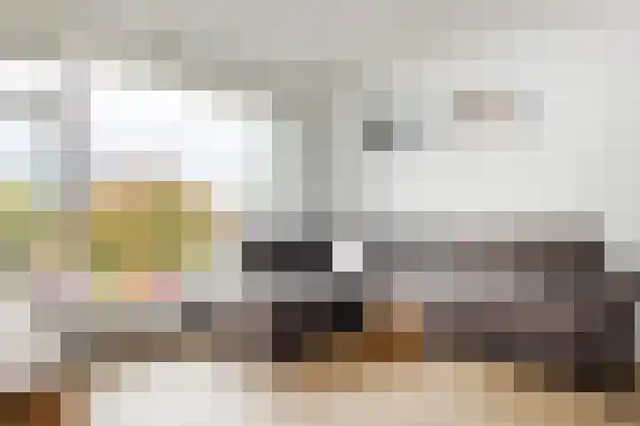 Plesmanlaan 8 II Haarlem thumbnail 8