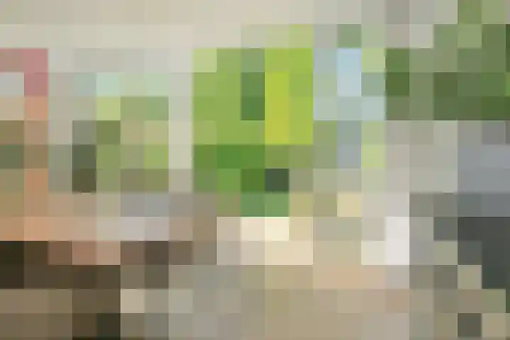 Plesmanlaan 95 Badhoevedorp thumbnail 13