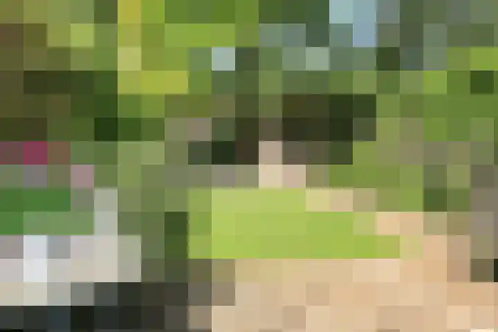 Plesmanlaan 95 Badhoevedorp thumbnail 14