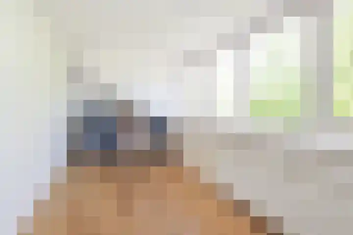 Plesmanlaan 95 Badhoevedorp thumbnail 30