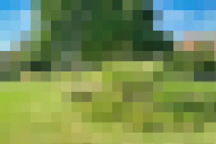 Plesmanlaan 95 Badhoevedorp thumbnail 33