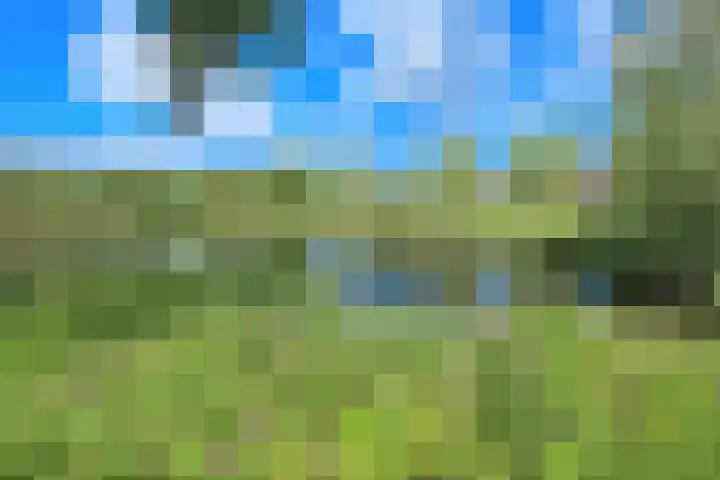 Plesmanlaan 95 Badhoevedorp thumbnail 34