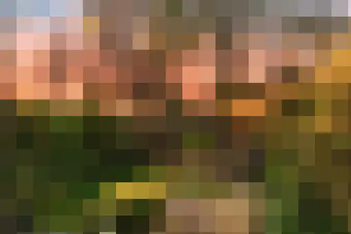 Plesmanlaan 95 Badhoevedorp thumbnail 35