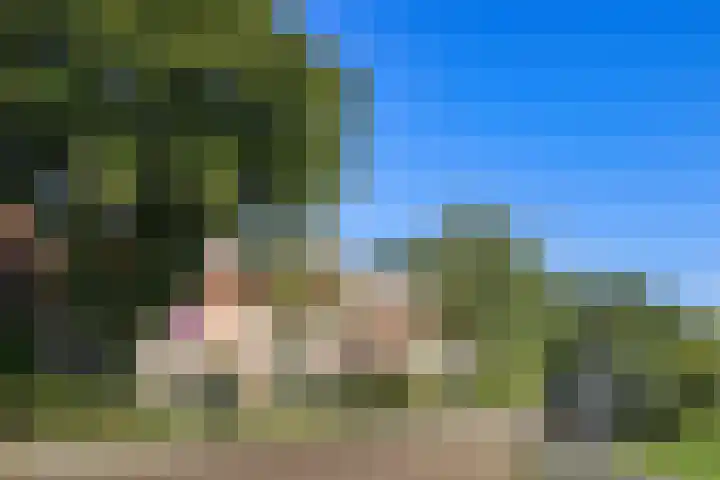 Plesmanlaan 95 Badhoevedorp thumbnail 36