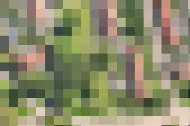Plesmanlaan 95 Badhoevedorp thumbnail 37